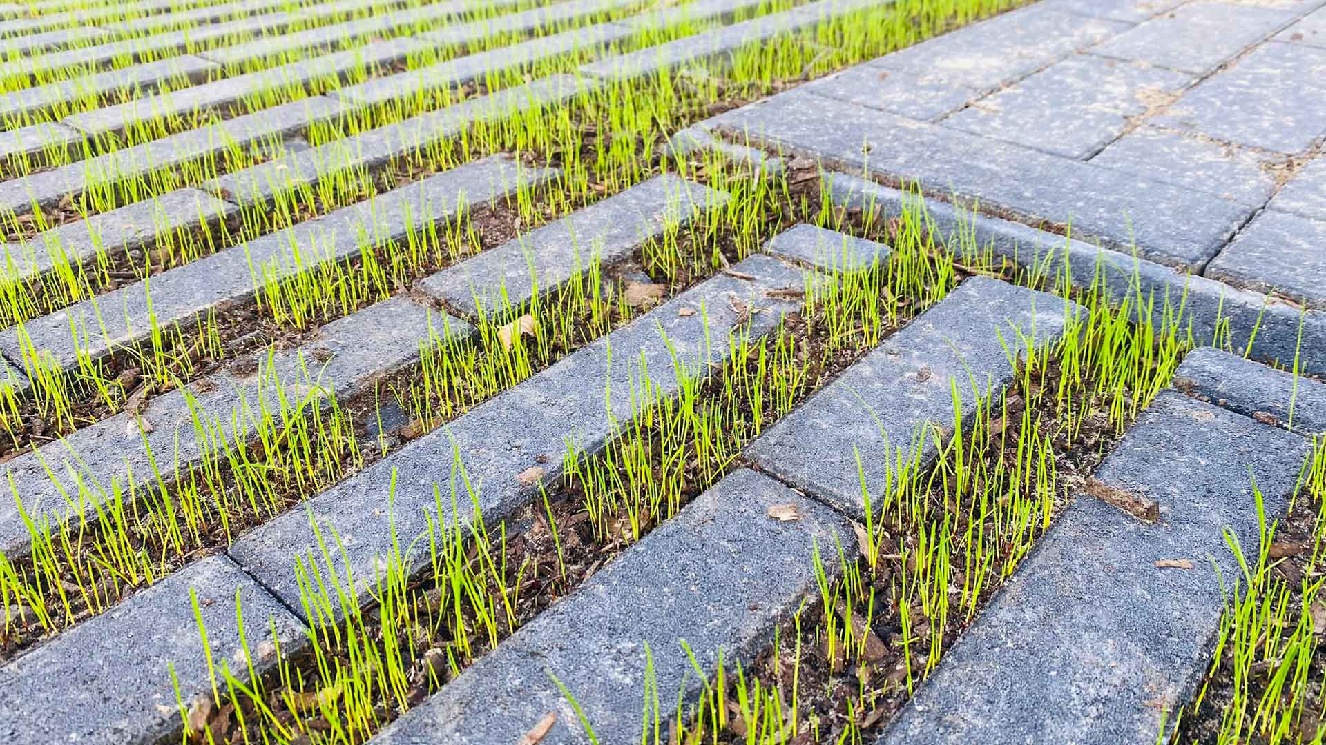 VPK-ALBO | Voor uw oprit, terras, parking, tuin